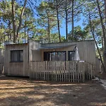 Vvf Cap Ferret