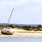 Vvf Cap Ferret 4*