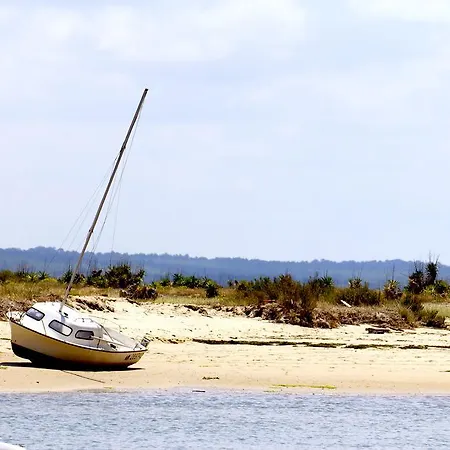 Vvf Cap Ferret 4*